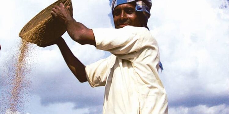 Blockchain & financial inclusion: Digital lending reaches the farm gate