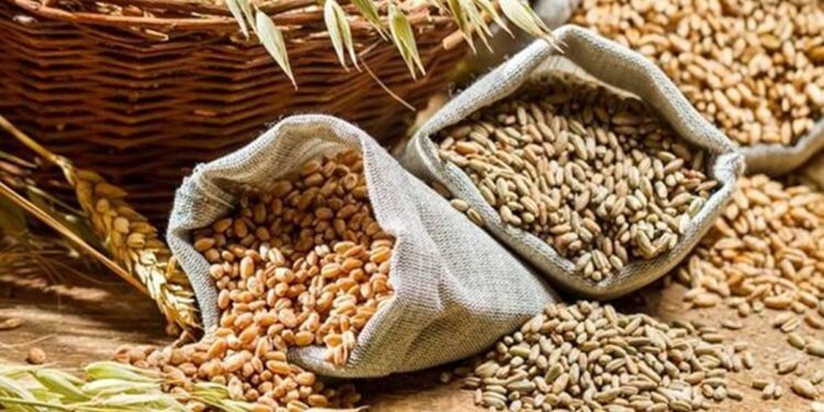 Govt sets record target to raise foodgrain production by 2% during 2021-22