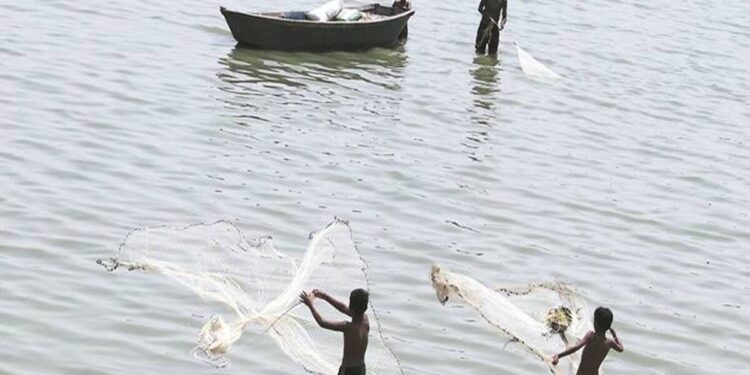 Fishery subsidy: India to seek fairer deal at WTO