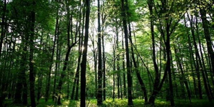 Kasturirangan Committee in recommendations on Western Ghats and why it is important