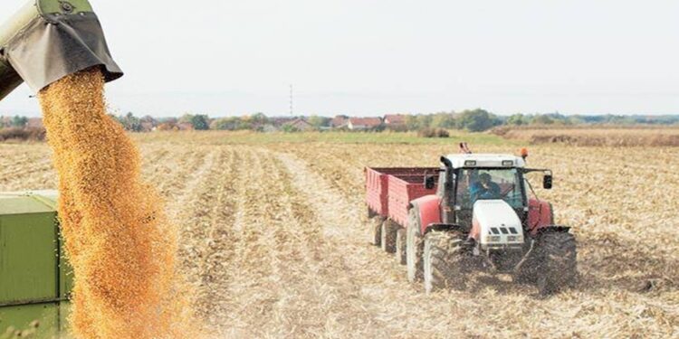 Maharashtra’s new agri exports policy focuses on value addition, GI-tagged items, market access
