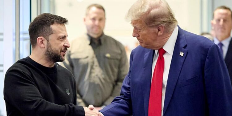 Trump ‘Very Frustrated’ With Zelenskyy? US NSA Makes Big Claim Amid War Of Words | World News